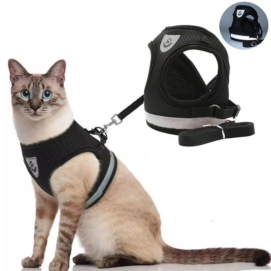 Adjustable Small Dog/Cat Harness and Leash